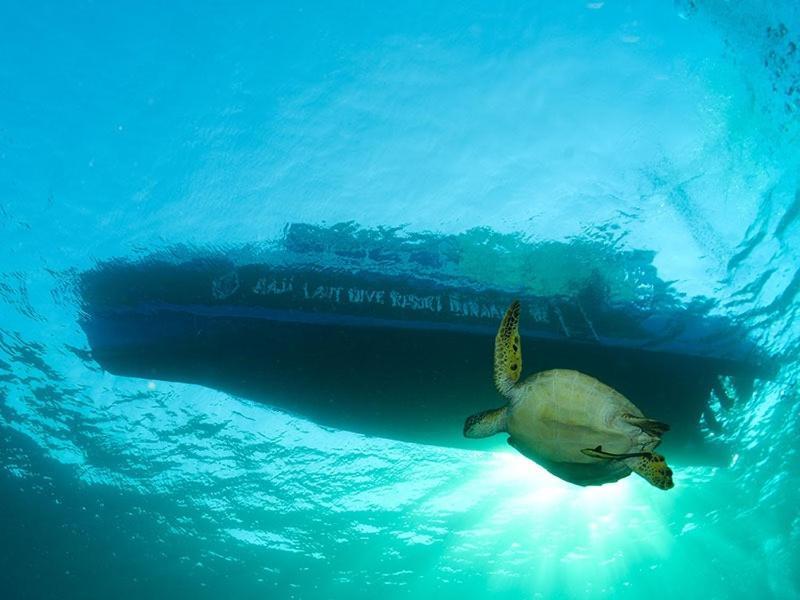 Raja Laut Dive Resort Бунакен Екстер'єр фото